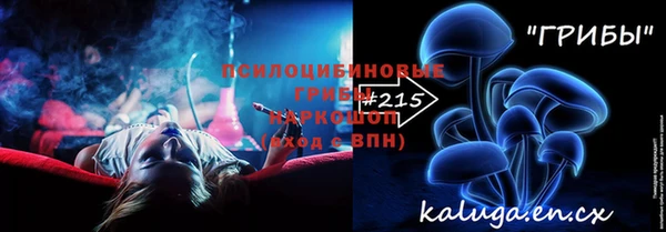 соль ск Заводоуковск