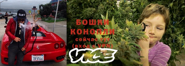 соль ск Заводоуковск