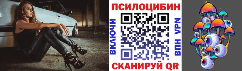Купить где Камбарка Галлюциногенные грибы мухоморы